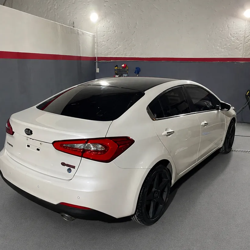Ford Focus blanco visto desde atras, con la pintura pulida